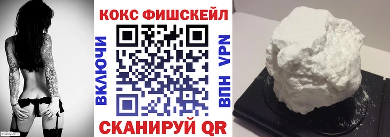 купить наркоту  кракен маркетплейс  COCAIN Fish Scale  Курчалой 
