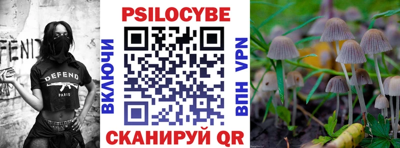 Псилоцибиновые грибы Psilocybine cubensis  наркотики  Курчалой 